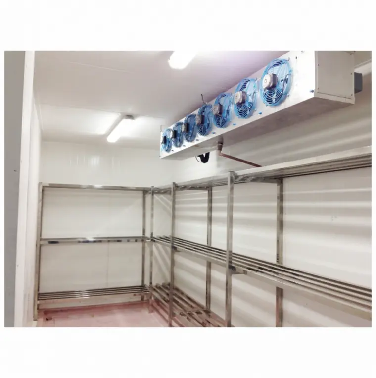Interior de câmara fria comercial